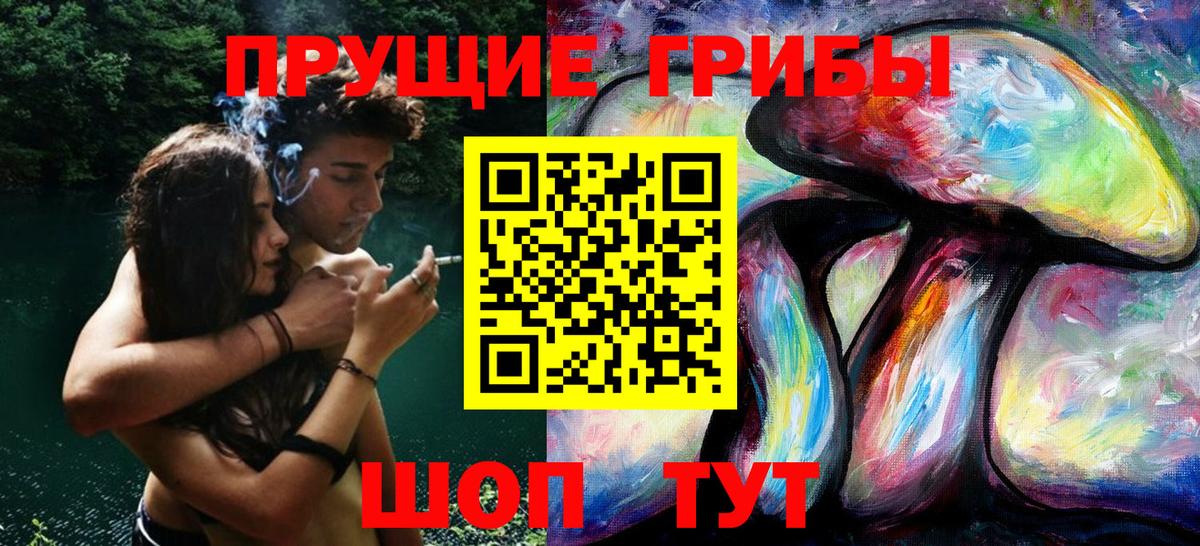 Дмитров  Галлюциногенные грибы MAGIC MUSHROOMS  Вход с VPN 
