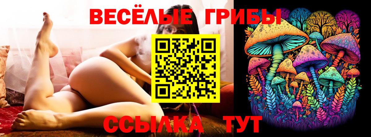 Галлюциногенные грибы Psilocybe Дмитров